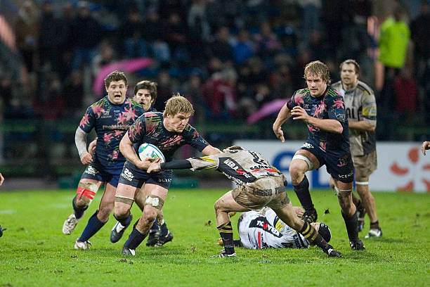 人艳羡的高 人艳羡的高