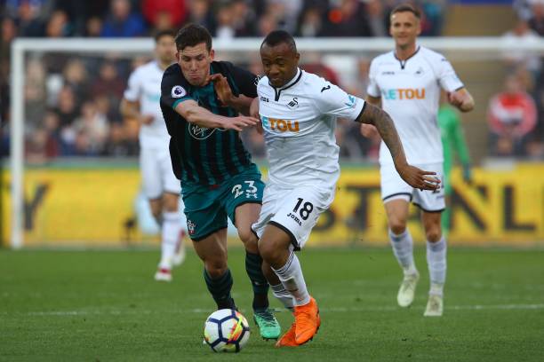 人艳羡的高 人艳羡的高