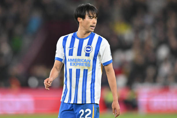 世界级的球 世界级的球