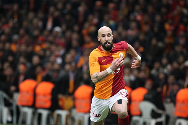 各方面完美 各方面完美